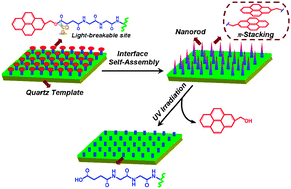Graphical abstract: Interface self-assembly to construct vertical peptide nanorods on quartz template