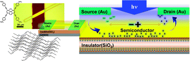Graphical abstract: Highly sensitive phototransistor with crystalline microribbons from new π-extended pyrene derivative via solution-phase self-assembly