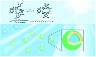 Graphical abstract: Photochromism of a water-soluble vesicular [2.2]paracyclophane-bridged imidazole dimer