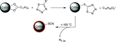 Graphical abstract: Nanocrystal ligand exchange with 1,2,3,4-thiatriazole-5-thiolate and its facile in situ conversion to thiocyanate
