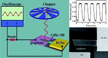 Graphical abstract: Self-powered high performance photodetectors based on CdSe nanobelt/graphene Schottky junctions