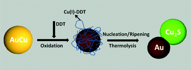 Graphical abstract: Au–Cu2S heterodimer formation via oxidization of AuCu alloy nanoparticles and in situ formed copper thiolate