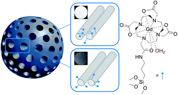 Graphical abstract: Location-tuned relaxivity in Gd-doped mesoporous silica nanoparticles