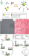Graphical abstract: Nanoparticle-based signal generation and amplification in microfluidic devices for bioanalysis