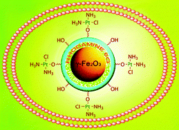 Graphical abstract: Detecting and delivering platinum anticancer drugs using fluorescent maghemite nanoparticles