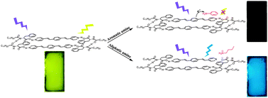 Graphical abstract: Fibrous film of a two-component organogel as a sensor to detect and discriminate organic amines