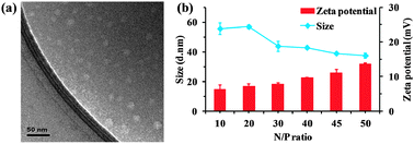 Graphical abstract: Co-delivery of small interfering RNA using a camptothecin prodrug as the carrier