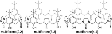 Graphical abstract: Multifarenes: new modular cavitands