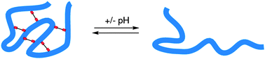 Graphical abstract: pH-responsive single-chain polymer nanoparticles utilising dynamic covalent enamine bonds