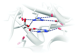 Graphical abstract: What stabilizes close arginine pairing in proteins?