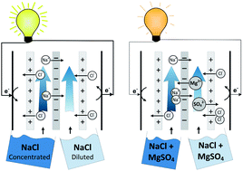 Graphical abstract: Influence of multivalent ions on renewable energy generation in reverse electrodialysis
