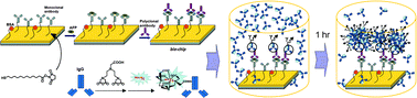 Graphical abstract: Integration of a bio-chip technique with technetium-99m labeling provides zeptomolar sensitivity in liver cancer biomarker detection