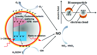 Graphical abstract: A semimetal bismuth element as a direct plasmonic photocatalyst