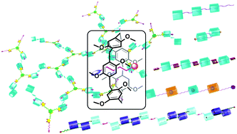 Graphical abstract: Pillararene-based supramolecular polymers: from molecular recognition to polymeric aggregates