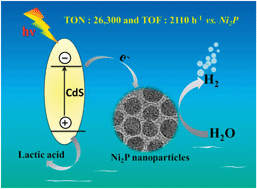 Graphical abstract: Highly efficient photocatalytic hydrogen evolution by nickel phosphide nanoparticles from aqueous solution