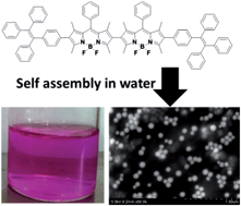Graphical abstract: Unadulterated BODIPY-dimer nanoparticles with high stability and good biocompatibility for cellular imaging