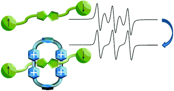 Graphical abstract: Synthesis and characterization of spin-labelled [2]rotaxanes containing tetrathiafulvalene and 1,5-dioxynaphthalene molecular stations