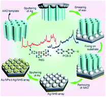 Graphical abstract: Urchin-like Au-nanoparticles@Ag-nanohemisphere arrays as active SERS-substrates for recognition of PCBs