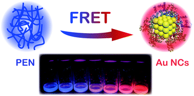 Graphical abstract: Tuning of polyarylene ether nitrile emission profile by using red-emitting gold nanoclusters via fluorescence resonance energy transfer