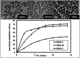 Graphical abstract: Ormosil nanoparticles as a sustained-release drug delivery vehicle