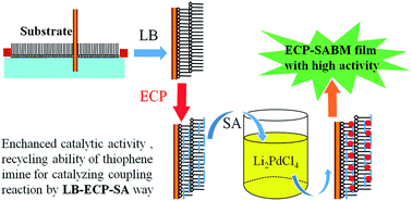 Graphical abstract: An electrochemically polymerized and assembled cyclopalladated bi-thiophene imine for catalyzing coupling reactions: a modern strategy to enhance catalytic activity