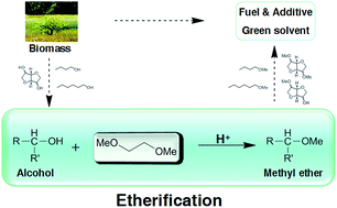 Graphical abstract: Catalytic etherification of hydroxyl compounds to methyl ethers with 1,2-dimethoxyethane