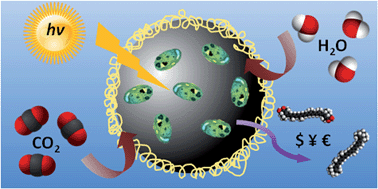 Graphical abstract: Green and sustainable production of high value compounds via a microalgae encapsulation technology that relies on CO2 as a principle reactant