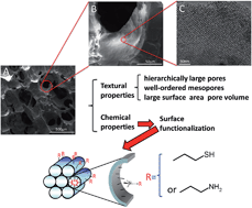 Graphical abstract: Effects of functional groups on the structure, physicochemical and biological properties of mesoporous bioactive glass scaffolds