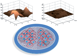 Graphical abstract: An in vitro study on the collective tumor cell migration on nanoroughened poly(dimethylsiloxane) surfaces