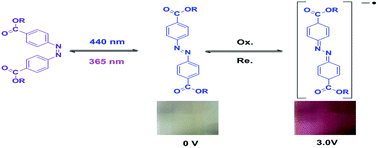 Graphical abstract: Synthesis and characterization of novel electrochromic and photoresponsive materials based on azobenzene-4,4′-dicarboxylic acid dialkyl ester
