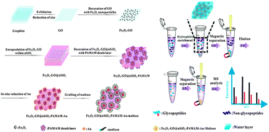 Graphical abstract: A dendrimer-assisted magnetic graphene–silica hydrophilic composite for efficient and selective enrichment of glycopeptides from the complex sample