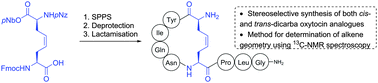Graphical abstract: Stereoselective synthesis and structural elucidation of dicarba peptides