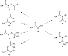 Graphical abstract: Acylation or phosphorylation of hydroxyurea unexpectedly takes place on N rather than on O, leading to the formation of amides instead of the expected esters