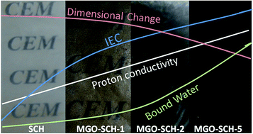Graphical abstract: Synthesis of highly stable and high water retentive functionalized biopolymer-graphene oxide modified cation exchange membranes