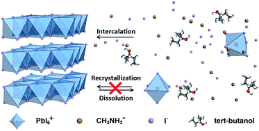 Graphical abstract: Formation of high-quality perovskite thin film for planar heterojunction solar cells