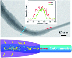 Graphical abstract: In situ transmission electron microscopy study of the electrochemical sodiation process for a single CuO nanowire electrode