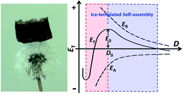 Graphical abstract: Self-assembly of 2D MnO2 nanosheets into high-purity aerogels with ultralow density