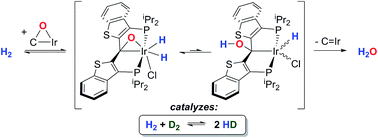 Graphical abstract: Mechanistic studies on the addition of hydrogen to iridaepoxide complexes with subsequent elimination of water