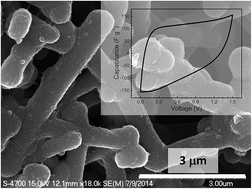 Graphical abstract: Phosphorus-doped carbon–carbon nanotube hierarchical monoliths as true three-dimensional electrodes in supercapacitor cells