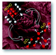 Graphical abstract: Alkali-modified non-precious metal 3D-NiCo2O4 nanosheets for efficient formaldehyde oxidation at low temperature