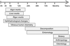 Graphical abstract: Promising blood-derived biomarkers for estimation of the postmortem interval