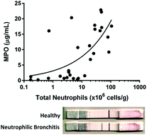 Graphical abstract: Development of a functional point-of-need diagnostic for myeloperoxidase detection to identify neutrophilic bronchitis