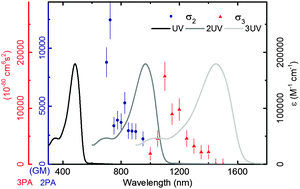 Graphical abstract: Exceptionally large two- and three-photon absorption cross-sections by OPV organometalation