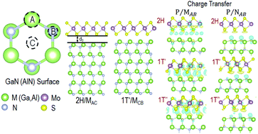 Graphical abstract: Phase engineering of MoS2 through GaN/AlN substrate coupling and electron doping
