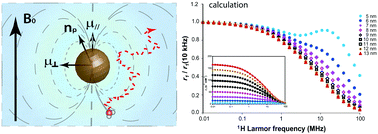 Graphical abstract: New approach for understanding experimental NMR relaxivity properties of magnetic nanoparticles: focus on cobalt ferrite
