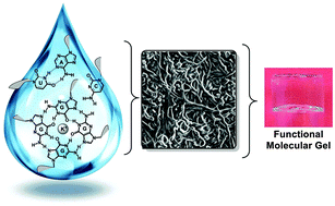 Graphical abstract: Supramolecular gels made from nucleobase, nucleoside and nucleotide analogs