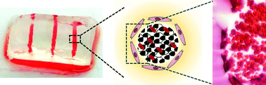 Graphical abstract: Bioprinted thrombosis-on-a-chip