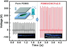 Graphical abstract: A composite generator film impregnated with cellulose nanocrystals for enhanced triboelectric performance