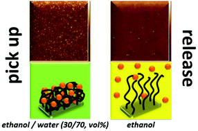 Graphical abstract: Pick up, move and release of nanoparticles utilizing co-non-solvency of PNIPAM brushes