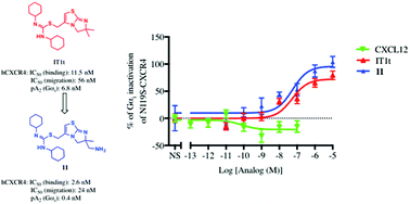 Graphical abstract: Design, synthesis, and biological evaluation of CXCR4 ligands
